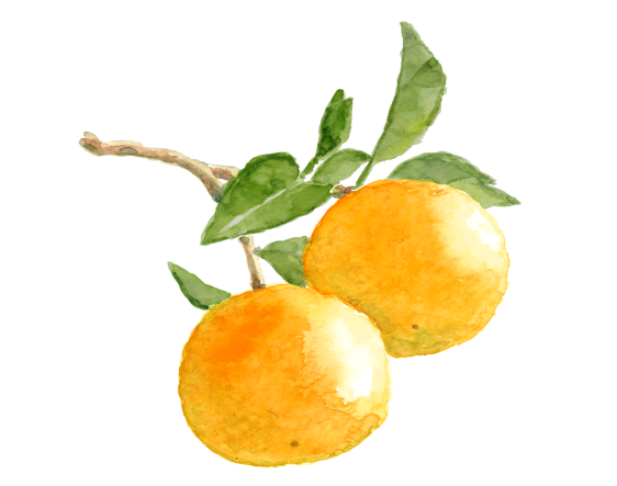 Yuzu