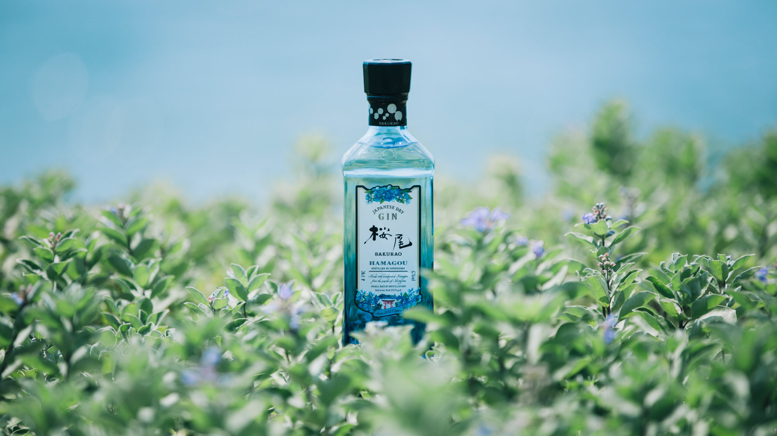 SAKURAO GIN HAMAGOU 2021 | SAKURAO Brewery and Distillery